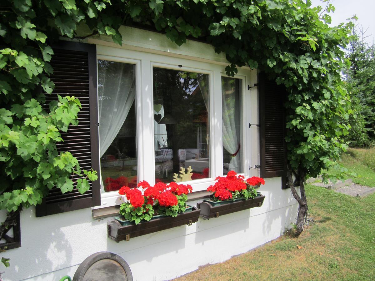 Haus Holunder Weissbriach Apartamento Exterior foto